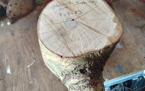 Spalted ash bowl - ash, blank