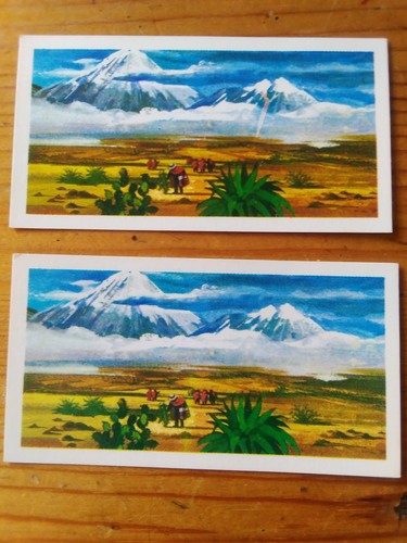 Brooke bond error misprint tea - bond,