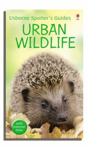 Urban wildlife usborne - wildlife, (usborne