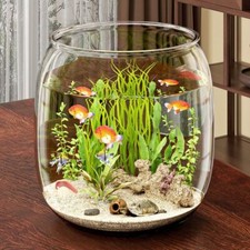 Ecological Tank Plastic Mini