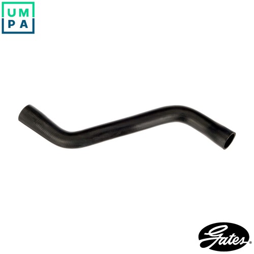 Radiator hose 2959 - radiator, for