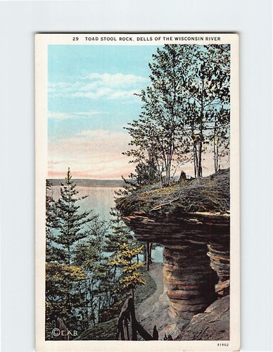 Postcard toad stool rock - postcard,