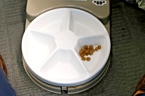 Pet safe automatic meal - pet,