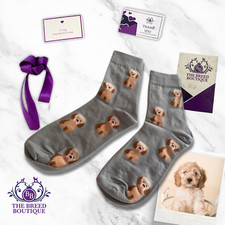 CREAM COCKAPOO SOCKS UNISEX