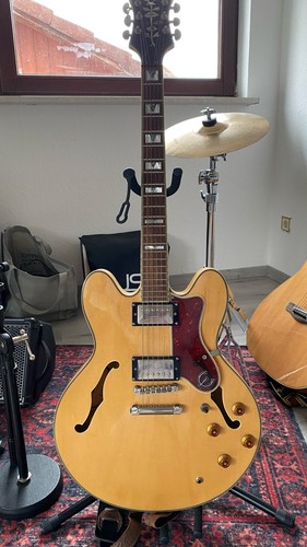 Epiphone sheraton na - epiphone, ii