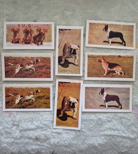 Hornimans tea dogs cards - hornimans,