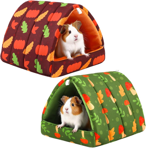 Pack guinea pig - pig, bed,
