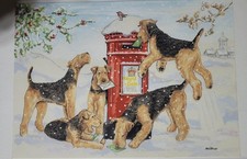 'Royal Dale' Airedale