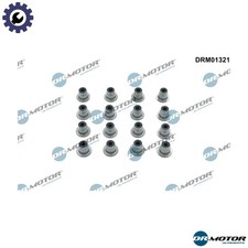 SEAL RING VALVE STEM DRM01321