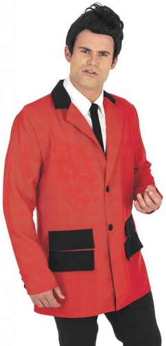 Teddy boy adult fancy - boy,