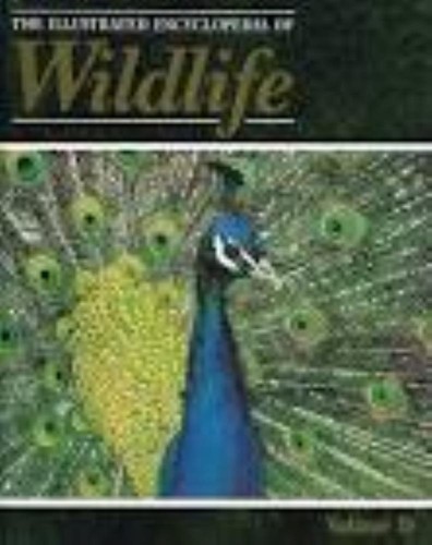 Orbis the illustrated - orbis:,