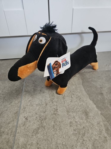 Buddy the dachshund sausage - buddy,