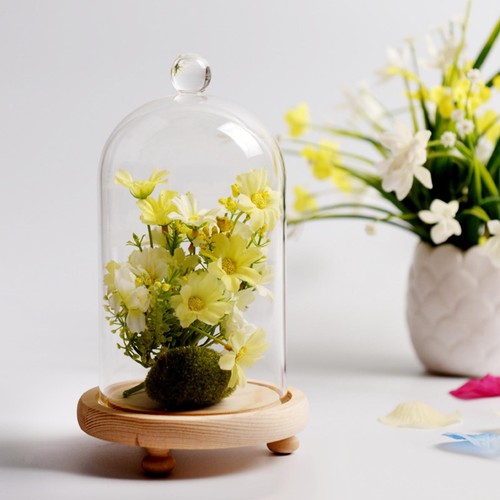 Cloche glass dome - cloche,