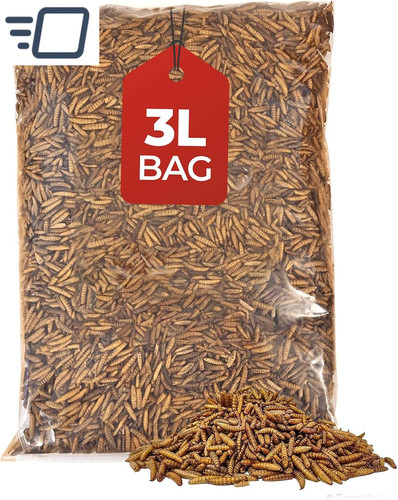 Premium wild bird food - wild,