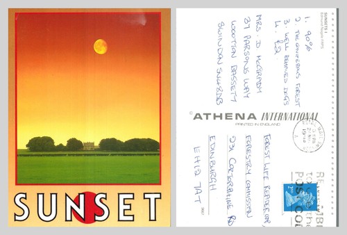 Postcard sunset landscape - sunset,