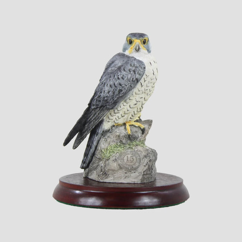 Symbol loyalty peregrine - symbol,