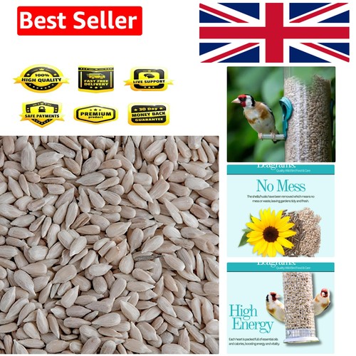 Sunflower hearts - sunflower,