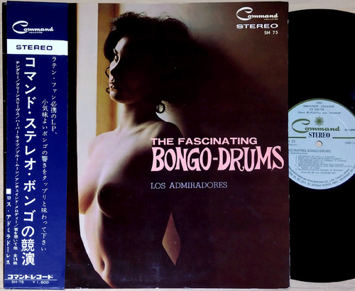 The fascinating bongo drums - the, bongo-drums