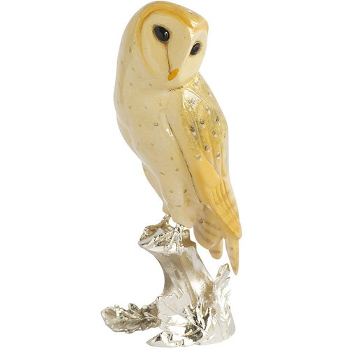 Barn owl bird - barn,