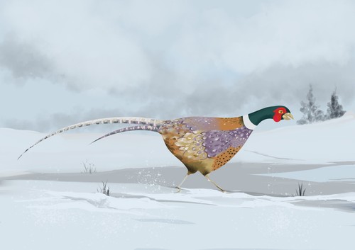 Pheasant snow art - pheasant, in