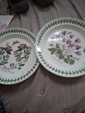 BNWOT Portmeirion Botanic