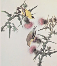 John Audubon AMERICAN
