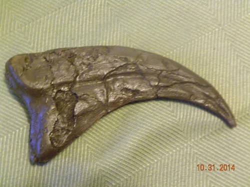 Clearance deinonychus - clearance,