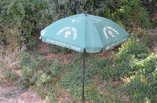 Timothy taylor green parasol - taylor's,