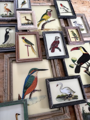 Bird glass paintings - glass,