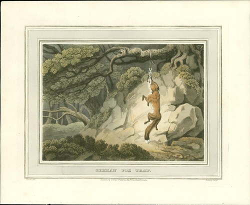 1814 field sports - field,