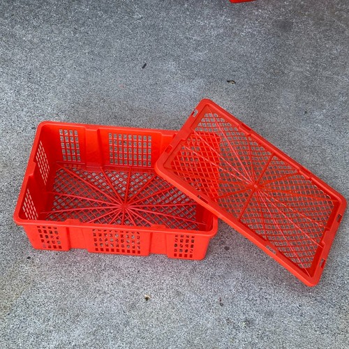 Red plastic storage crates - red,