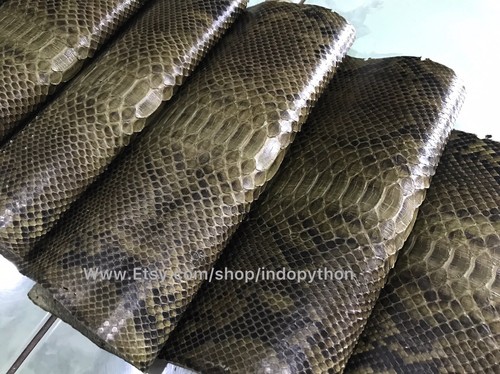 Genuine python leather exotic - genuine,