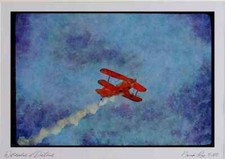 010090 Pitts Special, Flying