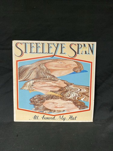 Vinyl record steeleye - vinyl,