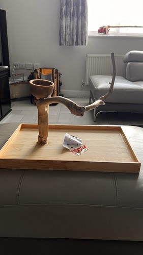 Parrot play stand - play,