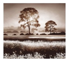 Daybreak Stroll by John