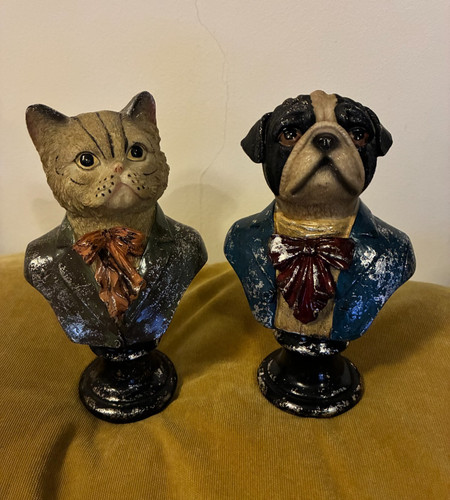 Set cute dapper animals cat - of,