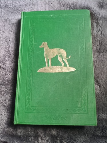 Greyhound stud book - greyhound,
