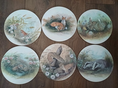 Kelsey stonehouse placemats - stonehouse,