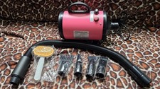 2800W Pet Dog Hair Dryer