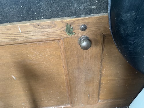 Salvaged from manor house - salvaged,