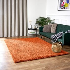 Shaggy Rug Large Thick Soft