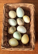 Vintage Lot of 10 Italian Alabaster Stone Marble Eggs