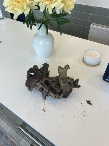 Large aquarium driftwood - large,