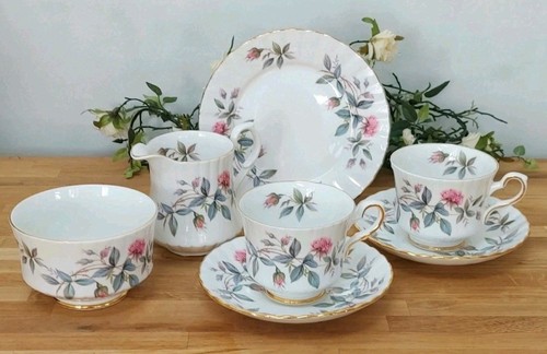 Royal stafford bramble - bramble, rose