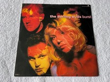 THE DARLING BUDS - BURST -