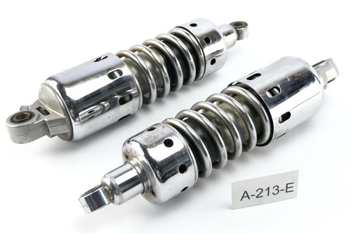 Kawasaki 1500 mean - 1500,