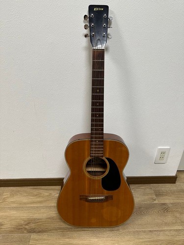 Elite takamine acoustic - takamine, guitar