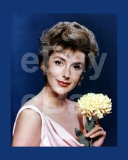 Kay Kendall 16x12 Photo Poster