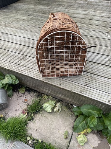 Vintage wicker basket pet - wicker,